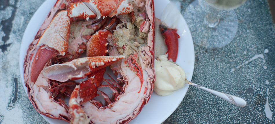 Lobster Slide 1